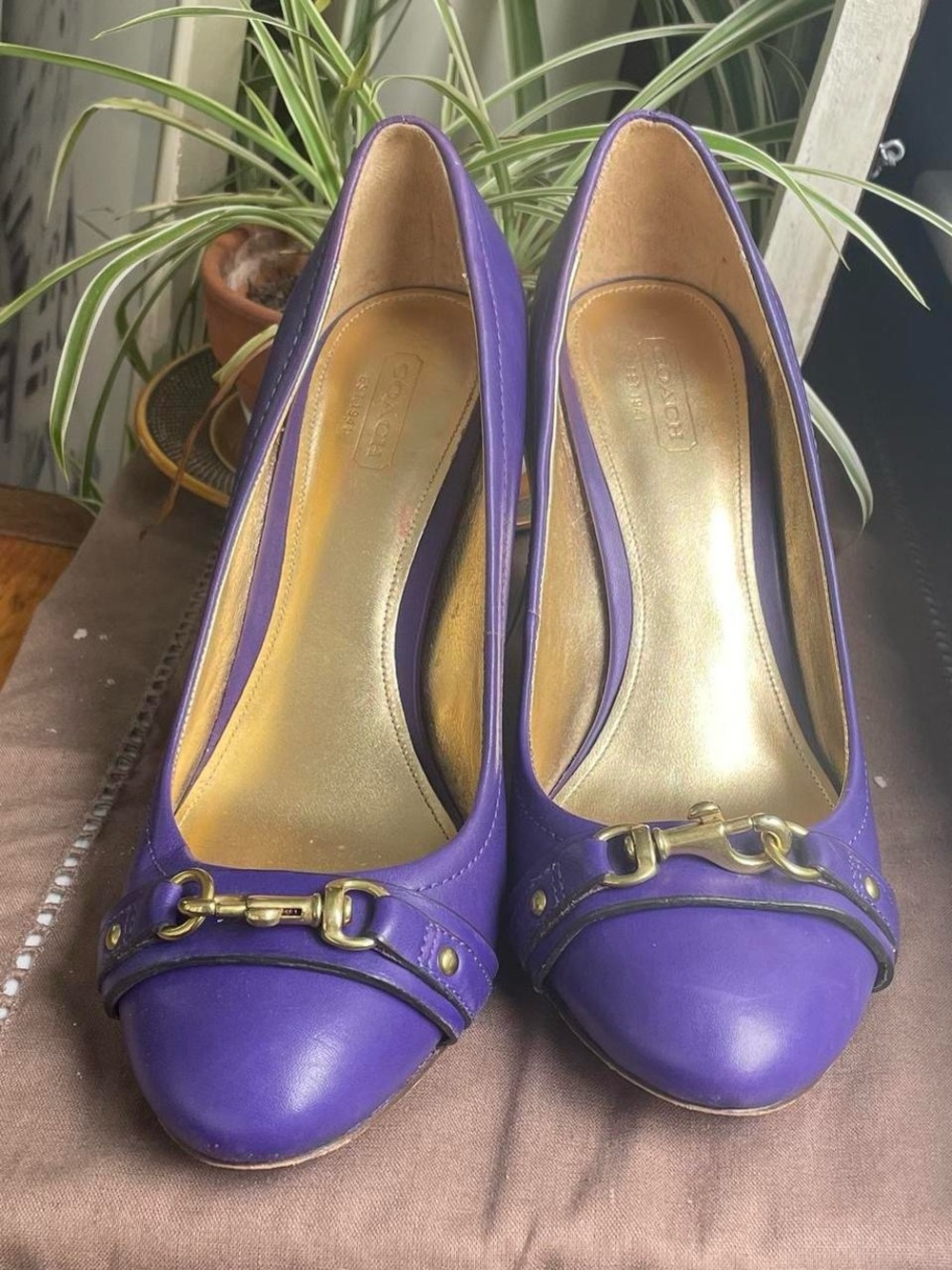 Coach Desaree Purple Leather Horsebit Pumps with Gold-Tone Hardware